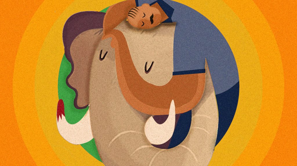 My Years with a Killer Elephant