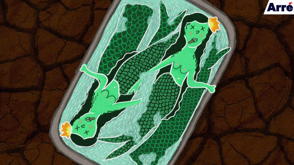 “Paani Chala Gaya”: Why India Will Never Have its The Shape of Water