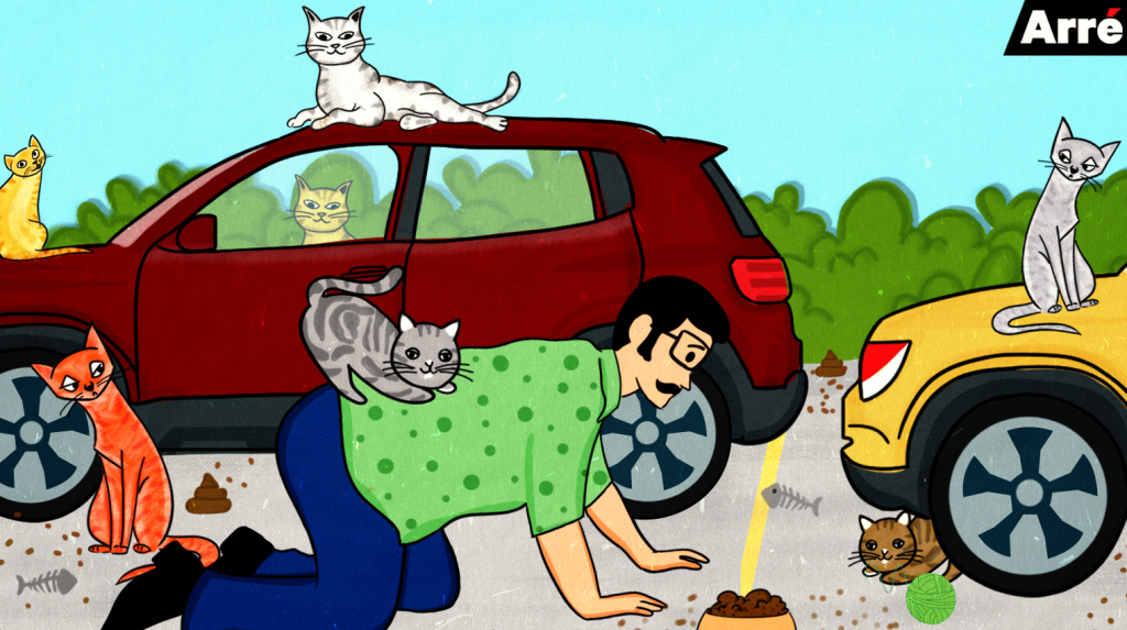 How I Became an Accidental Cat Dad & Realised I’m Not Cut Out for Parenthood